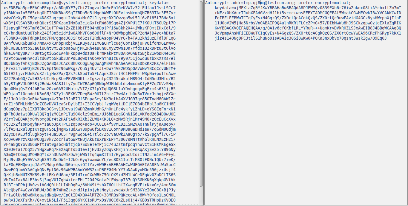 two editor windows; on the left you see an RSA key, on the right an ed25519
key.